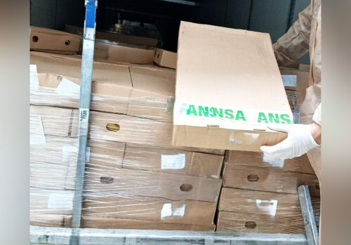 ANSA a prevenit importul de pui cu salmonella în Moldova