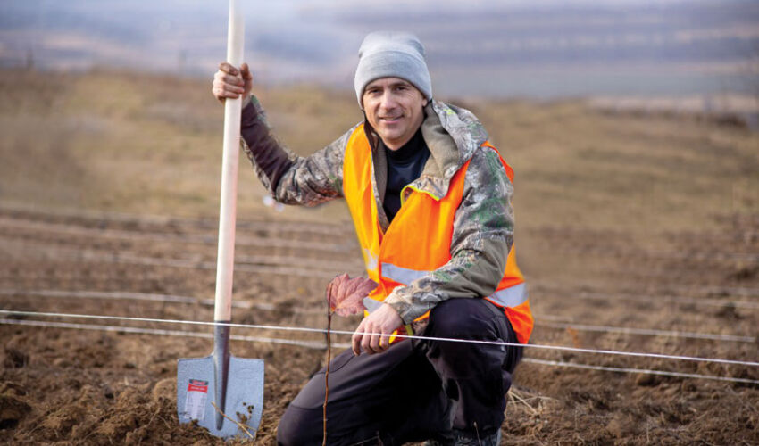 How much it costs to plant a turnkey forest in Moldova How much it costs to plant a turnkey forest in Moldova