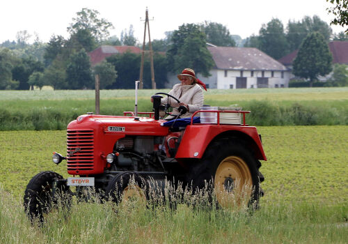 Anul internațional al femeilor fermier nu a fost anulat