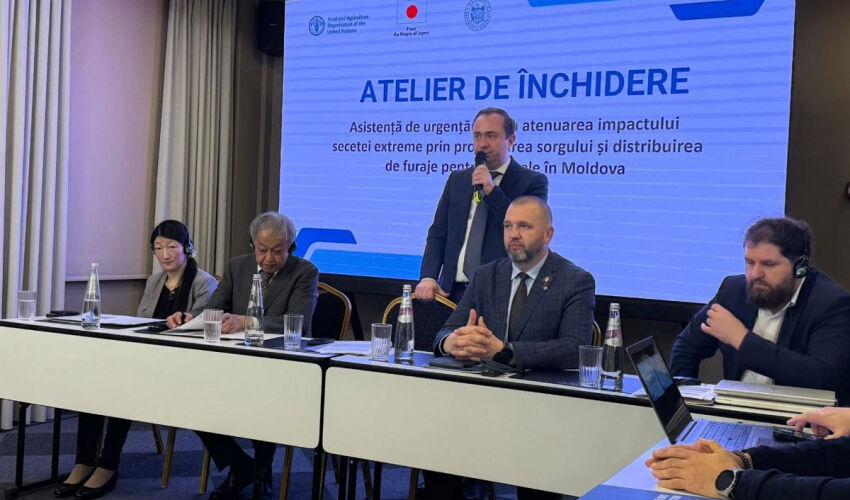 Проект FAO по сорго и кормам: завершился, но обещал вернуться закрытие проекта