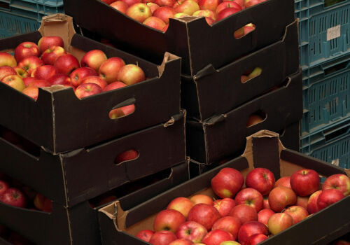 Prices for red apples have risen in Moldova Prices for red apples have risen in Moldova