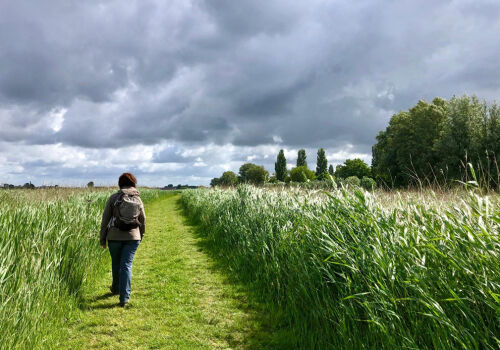 Uzbekistanul învață cum să facă să plouă Uzbekistanul învață cum să facă să plouă
