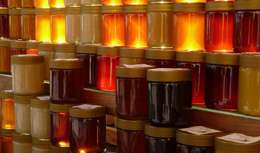 Apifera: как малый бизнес наладил большой экспорт