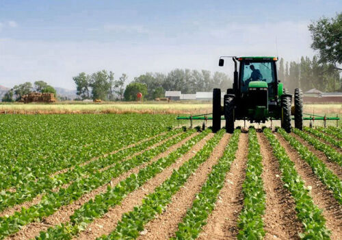 Молдова вошла в ТОП-5 стран с наибольшей долей сельхозугодий