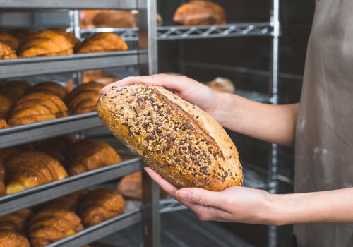 În Hîncești, o brutărie va fi construită conform „schemei” În Hîncești, o brutărie va fi construită conform „schemei”