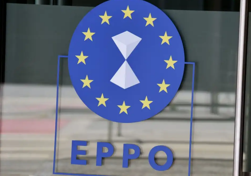 EPPO: prejudiciul în cazurile aflate în curs de investigare în România a depășit 6 miliarde de euro EPPO: prejudiciul în cazurile aflate în curs de investigare în România a depășit 6 miliarde de euro