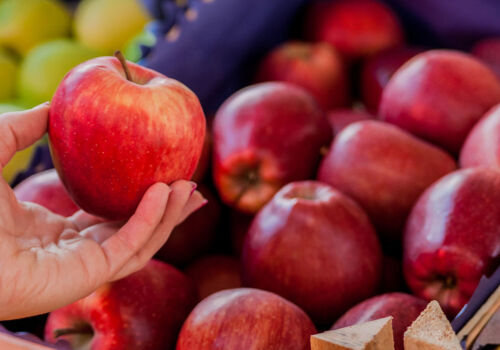 Oficiul de Pomicultură din Moldova ar putea să nu apară niciodată Oficiul de Pomicultură din Moldova ar putea să nu apară niciodată