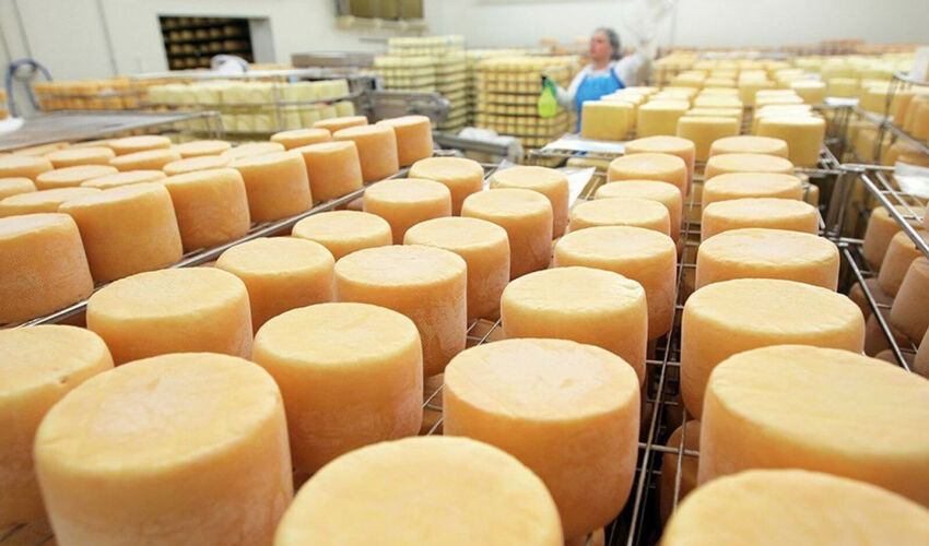 Moldova imported more than 3.5 thousand tons of Ukrainian cheese Moldova imported more than 3.5 thousand tons of Ukrainian cheese