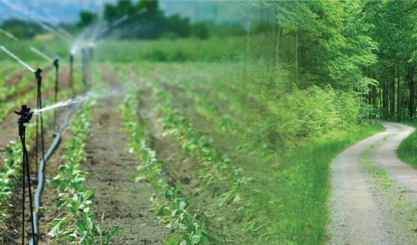 Irigații, păduri și drumuri pentru agricultori Irigații, păduri și drumuri pentru agricultori