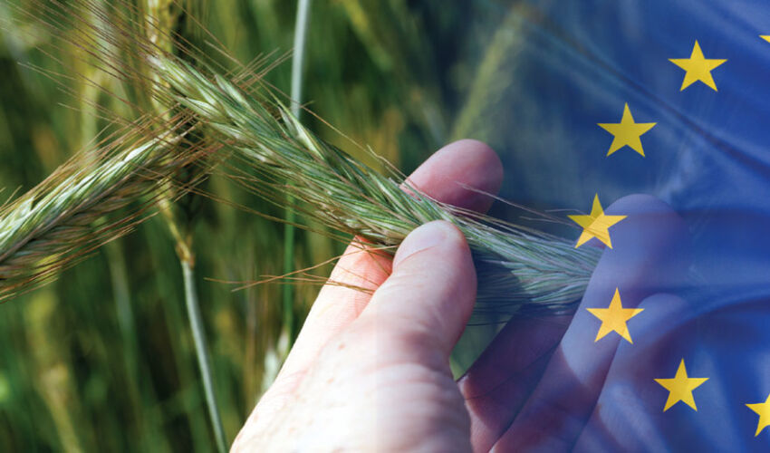 Agricultural industry prepares for EU membership Agricultural industry prepares for EU membership