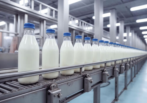 Probleme ale sectorului produselor lactate din Ucraina: „provocările războiului” și integrarea europeană