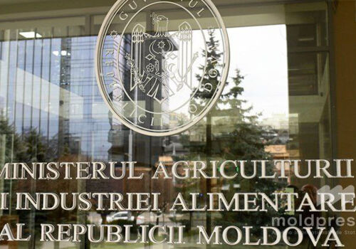 Statul va cheltui 100 de milioane de lei pentru susținerea camerelor agricole