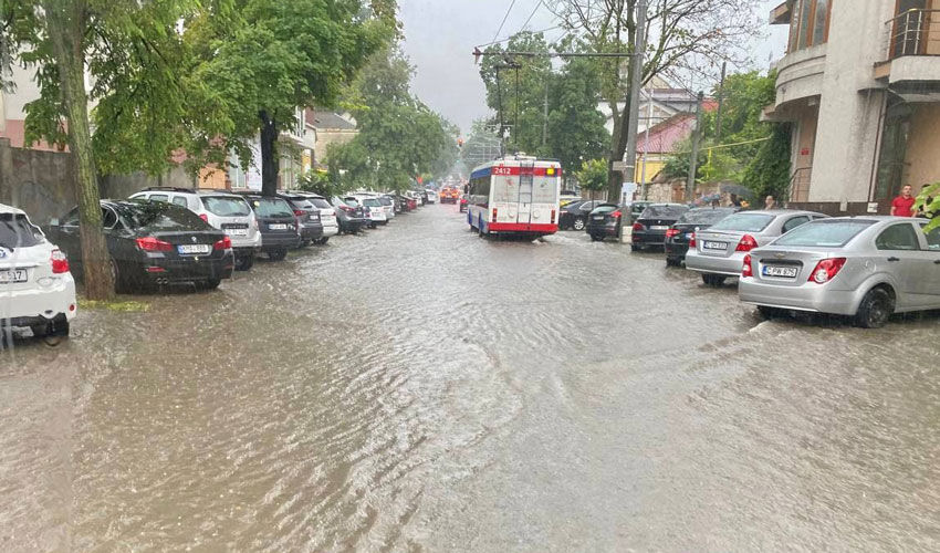 Strategia împotriva elementelor Strategia împotriva elementelor