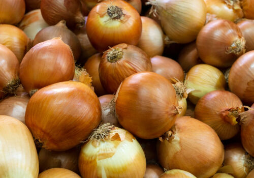 Onion prices are falling in Moldova