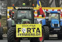 Fermierii cer protejarea pieței moldovenești de cerealele și semințele oleaginoase ucrainene