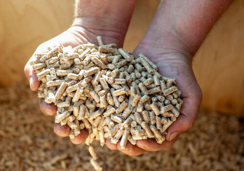 European Commission tightens supervision of feed imports from third countries European Commission tightens supervision of feed imports from third countries