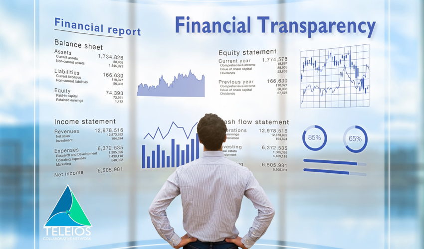 transparența financiară
