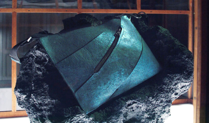 The world’s first Tyrannosaurus rex leather bag is up for auction a "T-Rex leather" bag