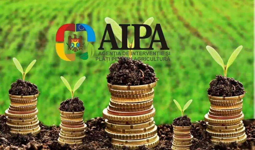 AIPA: 53 de milioane de subvenții pentru agricultori într-o singură săptămână aipa