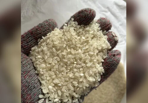 Агентство ANSA не допустило продажу крупных партий недоброкачественного риса