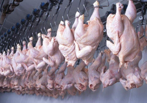 Primul producător de carne de pasăre din Moldova a primit dreptul de a exporta în UE Primul producător de carne de pasăre din Moldova a primit dreptul de a exporta în UE