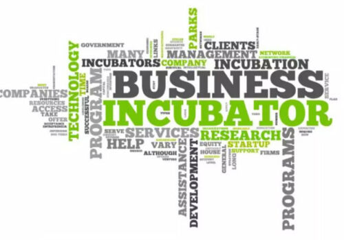 The business incubator in Cimislia will receive investments of 15 million lei The business incubator in Cimislia will receive investments of 15 million lei