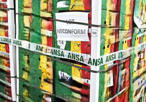 ANSA a împiedicat 9 tone de condimente să intre pe piața moldovenească