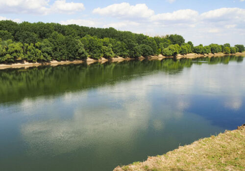 Autoritățile introduc un regim de pericol ecologic pe râul Nistru Autoritățile introduc un regim de pericol ecologic pe râul Nistru