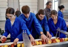 “Livada Moldovei” project also covers Gagauzia “Livada Moldovei” project also covers Gagauzia