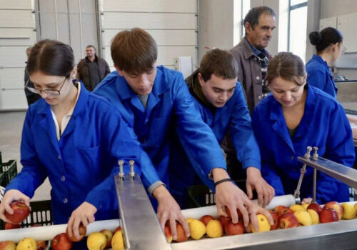 Proiectul „Livada Moldovei” acoperă și Gazauzia