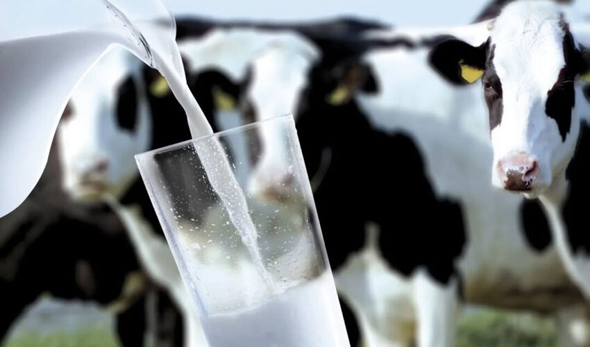 Subsidies will help dairy farmers reach the “peak of winter sales”