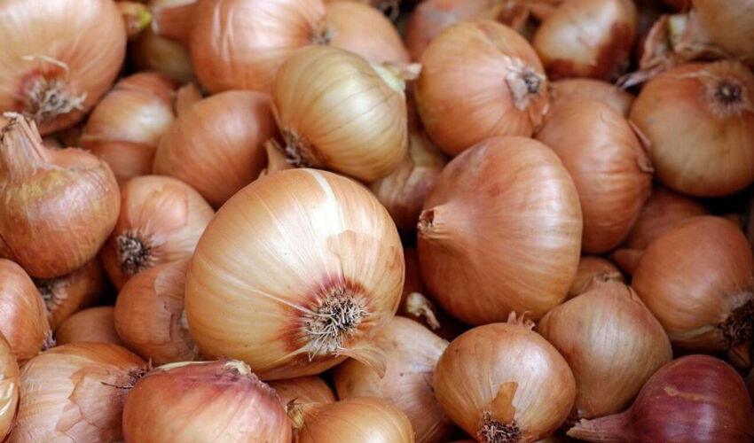 Ukraine has pushed Moldova out of the Romanian onion market