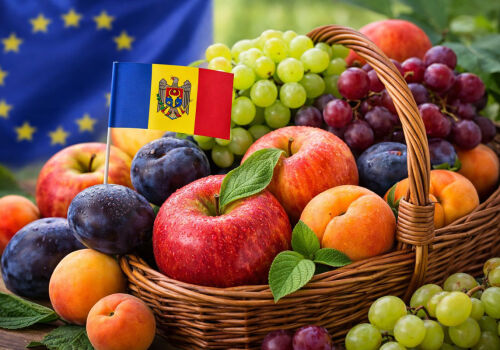 Moldovan fruits on the EU market: evolution of supplies