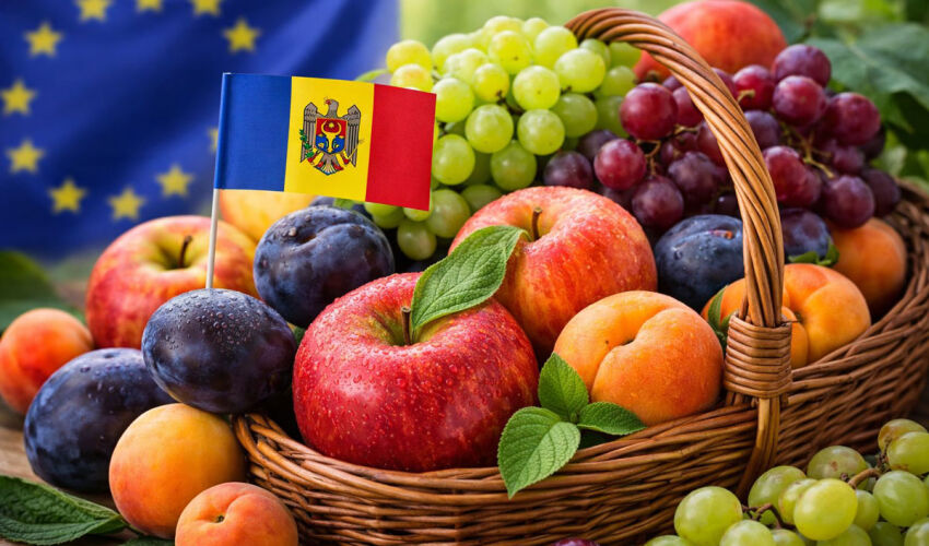 Молдавские фрукты на рынке Евросоюза