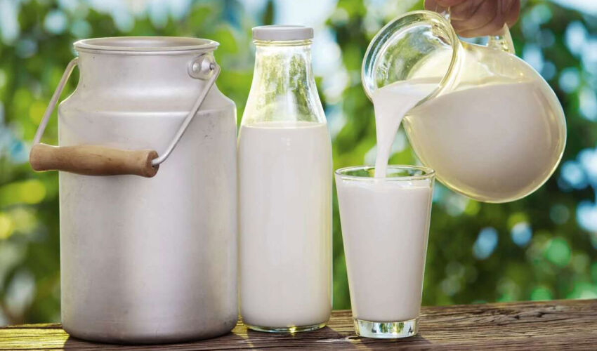 Moldova’s Dairy Market: Reliance on Imports Is Growing milk