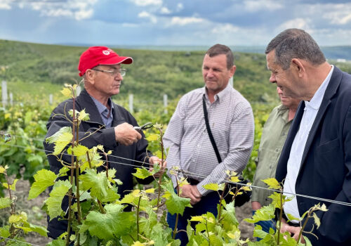 Viticultorii moldoveni au primit o lecție despre „locurile de muncă ecologice”