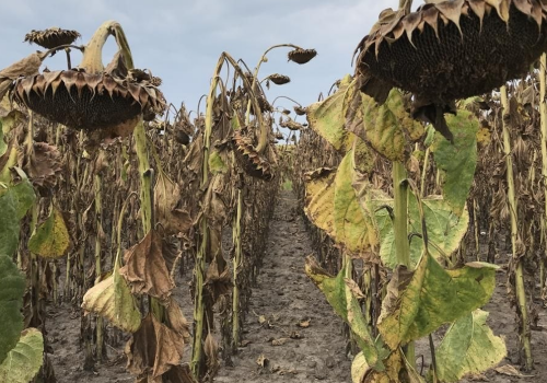 Controversial compensation payments to farmers and a small tranche of post-investment subsidies Controversial compensation payments to farmers and a small tranche of post-investment subsidies