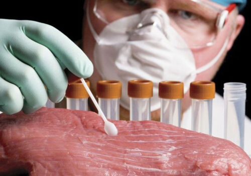 Carnea de vită braziliană cu hormoni de creștere – o nouă problemă pentru UE