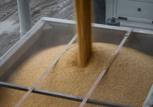 Grain import licensing extended for the whole of 2025