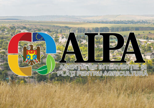 AIPA a aprobat primele subvenții în cadrul Planului de dezvoltare al RM