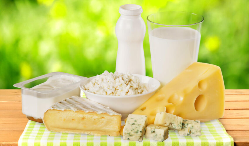 молочные продукты