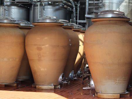 Vinaria Purcari расширила производство Vinaria Purcari расширила производство