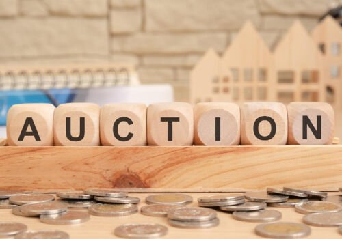 A garage in Rezina sold at auction for 5 times the starting price