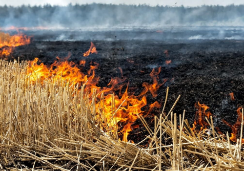 În Moldova, riscul de incendii persistă până la sfârșitul lunii iulie