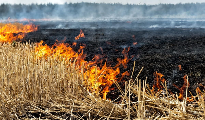 În Moldova, riscul de incendii persistă până la sfârșitul lunii iulie incendiu