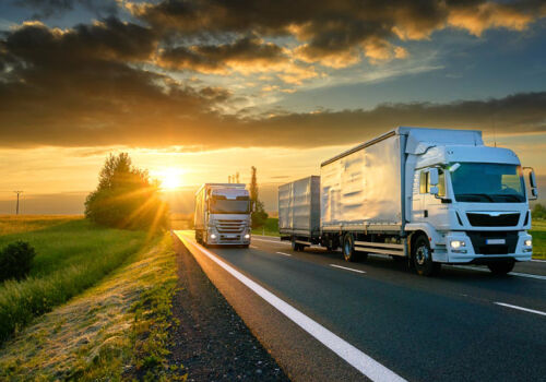 Timpul de trafic transfrontalier al mărfurilor perisabile va fi redus