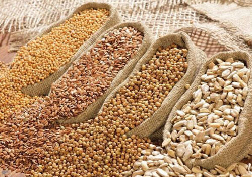 Прогноз USDA: резкий рост мирового производства масличных культур в 2026/27