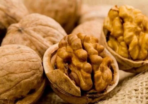 В конце зимы спрос на молдавский орех превысил предложение