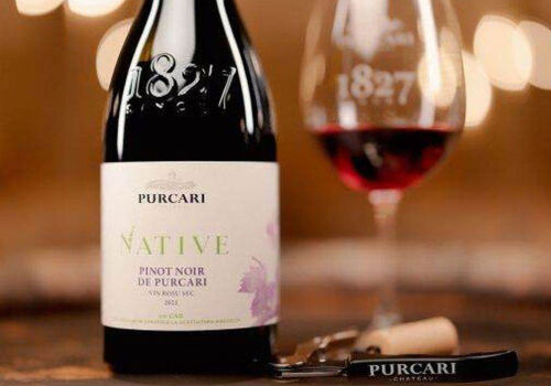 Purcari Wineries a crescut veniturile cu 14% în 2025