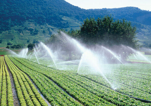 Apa uzată tratată poate fi utilizată pentru irigații Apa uzată tratată poate fi utilizată pentru irigații